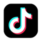 TikTok icon
